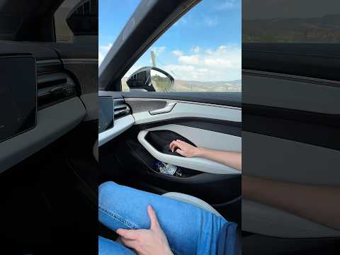 Fensterheber Spielschutz im Audi A6!