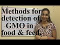 Understanding GMOs in Food