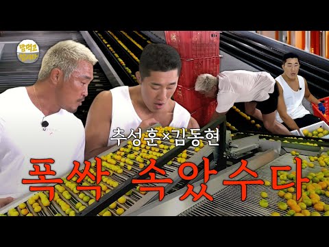 [밥 먹고 합시다] EP.8 추성훈X김동현, ‘폭싹 속았수다‘ 제주도 밥값 2차전💥