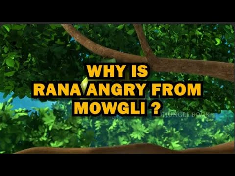 WHY IS RANA ANGRY FROM MOWGLI? | RANA MISUNDERSTOOD MOWGLI ! | Jungle Book  | English Stories