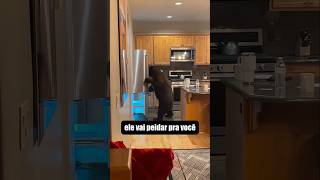 E SE... vc for Atacado por um Urso