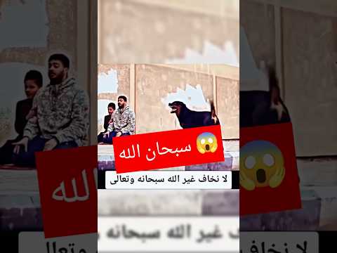 سبحان الله مش حتصدق اللي حصل معجزة 😱 #shorts #سبحان_الله