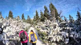 STREAM na Sněžku s Kájou, Sofčou a Salimem