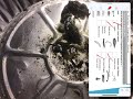 Pollution Tolerance and Water Quality