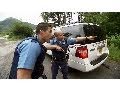 Police Pursuit and Suspect Capture
