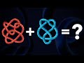 Knot Theory and Its Applications