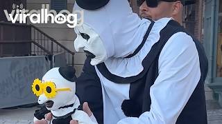 Art the Clown Finds His Miniature Twin || ViralHog