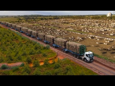 CONHEÇA O NOVO MAIOR CAMINHÃO DO BRASIL - O incrível HEXATREM!