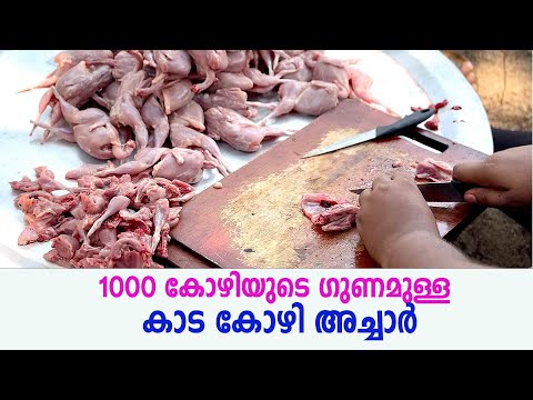 1000 കോഴിയുടെ ഗുണമുള്ള  കാട കോഴി അച്ചാർ