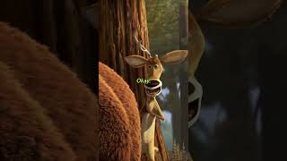 i wanna be as chill as this 🦔 #openseason #ashtonkutcher #film