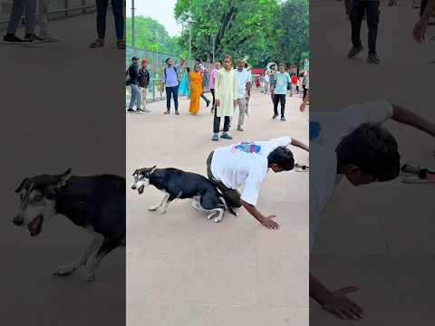 Dog🐶friendship speaks louder than words😭#viraljump #talentedboystunt #dogapparel #funny