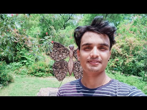 butterfly Park 🥀🥀🥀🦋🦋🦋 vlog video