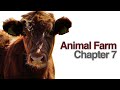 Themes and Tactics in Animal Farm