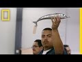 Ron's Auction Experience and Lessons