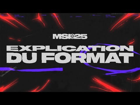 Explications du format | MSI 2025