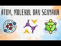 Understanding Atoms, Molecules, and Compounds