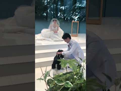とても可愛いリングドッグの登場💍🐶video by...@ykn0709_wd さま#プラコレ #wedding #dîlan #결혼식 #リングドッグ #指輪演出