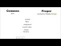 Nouns: Common vs. Proper Challenge