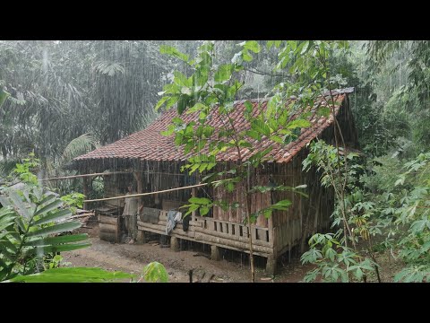 Ngeri., Takut Longsor! Hujan Lebat, Angin Kencang Saat Berada Di Rumah Tengah Hutan Lereng Bukit