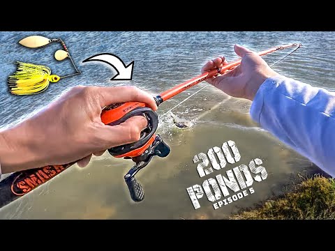 Fishing A LOADED Pond With Spinnerbaits! (200 Ponds Ep. 5)