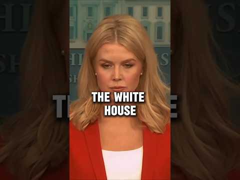 Karoline calls out Karine Jean-pierre over her lies as press secretary