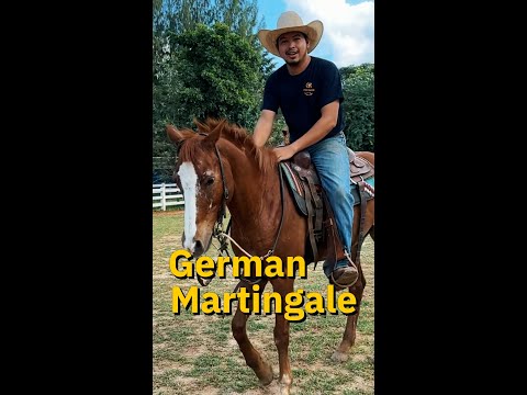 GermanMartingaleใช้ยังไงhorsemanforyoucowsmonคาวบอยไทยใครก็ไ