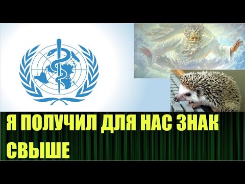 Всевышний поговорил со мной по поводу ВОЗ
