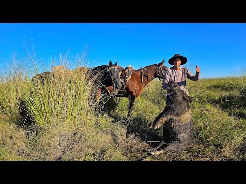 CAZA DE CHANCHOS, aventura por corrientes 🐖, bien campero