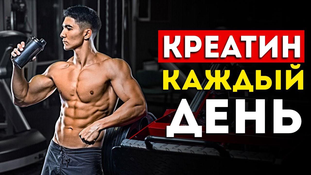 Вот что будет если принимать креатин каждый день