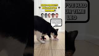 Predicting the Ballon d'Or winner by eliminating contenders one by one 🐈‍⬛