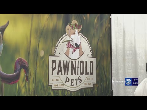YouTube video thumbnail: Made in Hawaii Festival has Products for Furry Friends
