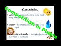Plant Adaptations and Resource Competition