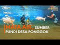 Desa Ponggok: Transformasi dan Pengembangan