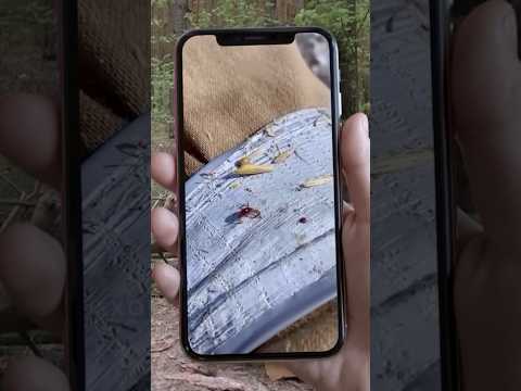 Проверил Лайфхак от КЛЕЩЕЙ #shorts #frost #фрост #лайфхак #выживание #24часа #survival #lifehacks