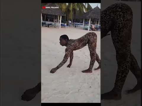 【架空ゴッドタレント】ゴリラに変身する男 / Man transforms into a Gorilla on AGT #americagottalent #magic