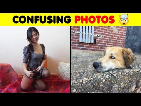 Photos That’ll Break Your Brain in 3 Seconds 😵‍💫