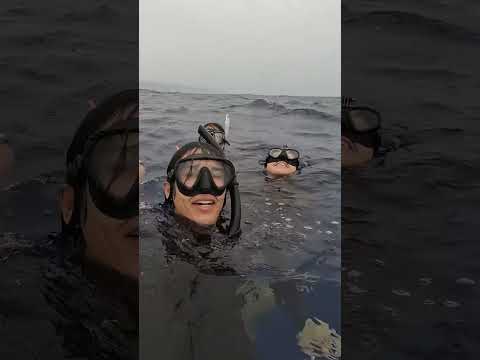 Swimming in the middle of the Pacific Ocean
