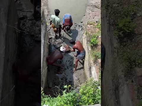 சேத்துக்குள்ள மீன் மட்டுமல்ல! வேற? | Catching fish | #shorts #fishing