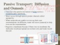 Exploring Membrane Transport in IB Biology