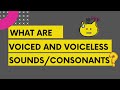 Voiced and Voiceless Sounds