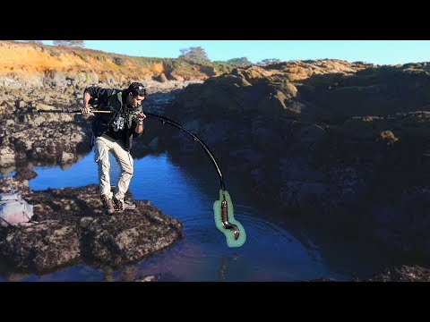 PUDDLE FISHING in Saltwater and EATING the Catch!!!