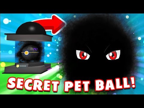Pet Training Simulator Roblox 07 2021 - roblox pet trainer how to get candy no codes