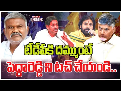 టీడీపీకి దమ్ముంటే పెద్దారెడ్డి ని టచ్ చేయండి ..Pedda Reddy | Chandrababu  | Ys Jagan | Mahaa Debates