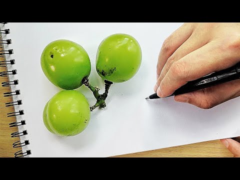 Can 3 Grapes Make Art? 🍇🎨 | Fruit Art Drawing