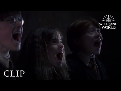 Harry, Ron & Hermione Run Scared of Fluffy