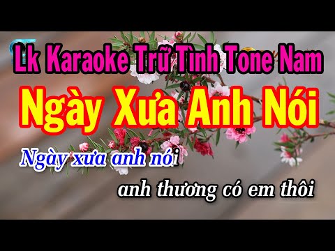 Karaoke Liên Khúc Trữ Tình Tone Nam Dễ Hát | Ngày Xưa Anh Nói | Đừng Nói Xa Nhau