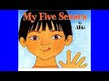 Understanding the Five Senses