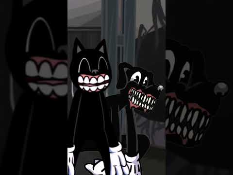 Video de Gatos contra la cámara 📸