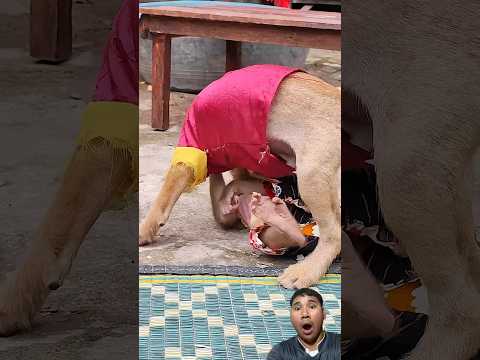 Wow๐ฑ๐ฑ#animals #shortvideo #horse #funny #cow #horsetrack #funnyanimal #short