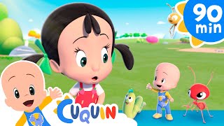 Insetos pequeninos 🐝 e mais músicas infantis de Cleo e Cuquin
